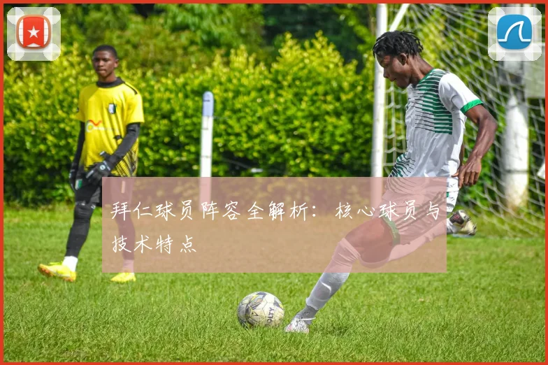 拜仁球员阵容全解析:核心球员与技术特点
