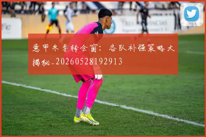 意甲冬季转会窗：各队补强策略大揭秘_20260528192913