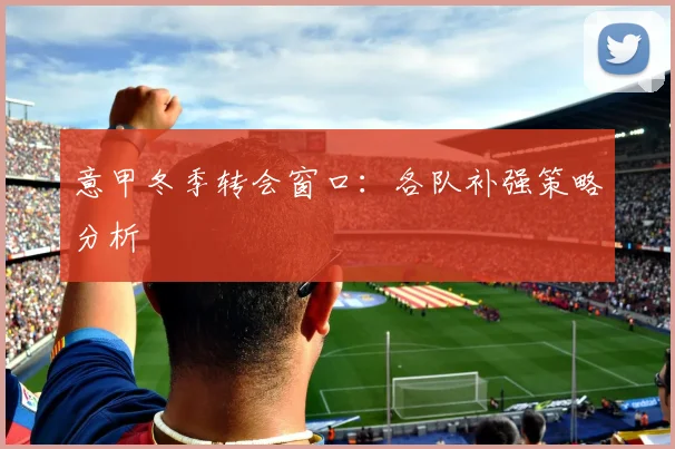 意甲冬季转会窗口:各队补强策略分析